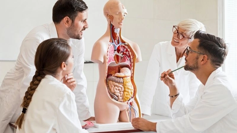 Công nghệ sinh học và đổi mới y học