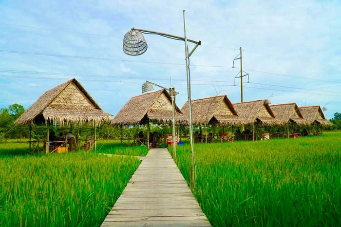 Khám phá nhà chòi Đồng Tháp qua ảnh nhà chòi Đồng Tháp đẹp
