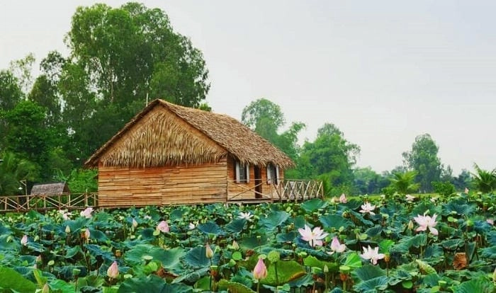 Vẻ đẹp nhà chòi Đồng Tháp giản dị cùng mái lá Đồng Tháp mộc mạc