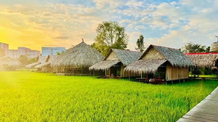 Khám phá nhà chòi Đồng Tháp lung linh huyền ảo khi nhà chòi về đêm