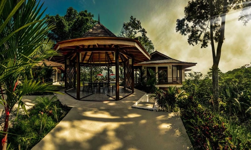 Khám phá vẻ đẹp Ảnh nhà chòi Hậu Giang tuyệt vời