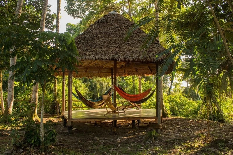 Thư giãn tại nhà chòi Sóc Trăng giữa vườn cây xanh mát