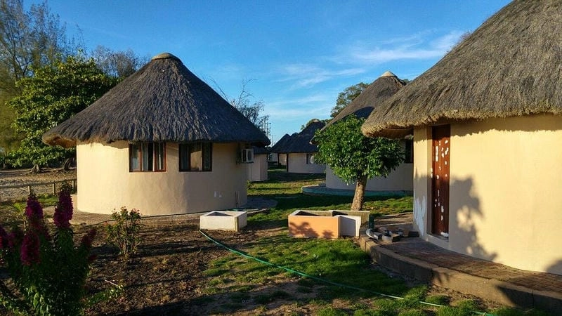 Sân vườn nhà lá rợp bóng cây xanh cho không gian thư giãn