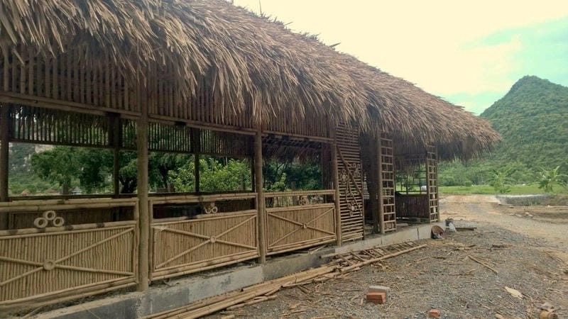 Ngắm Bình minh nhà lá rực rỡ bên sông Long An