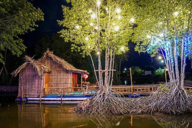 Thư giãn ở sân trước Cà Mau xanh tươi của Nhà mái lá Cà Mau