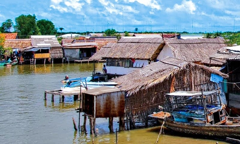 Đôi nét khái quát về nhà mái lá Cà Mau