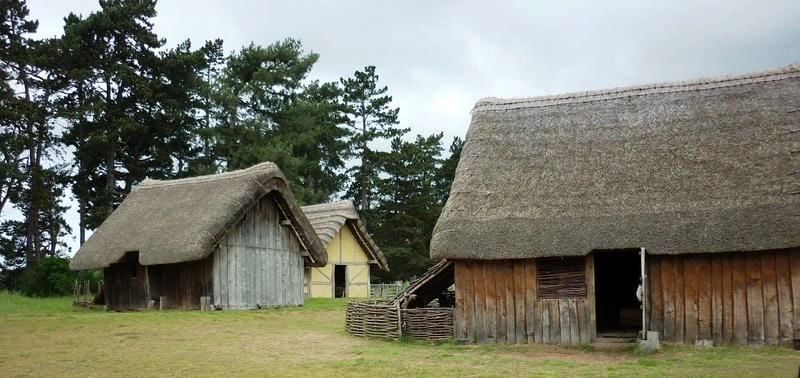 Ngắm Đồng Tháp thứ Gió Nhà vườn Đồng Tháp hòa quyện cảnh sắc