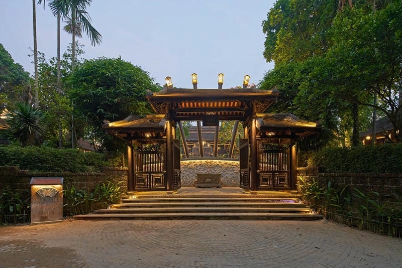 Khoảnh khắc bình minh nhà vườn dịu dàng phủ sương sớm