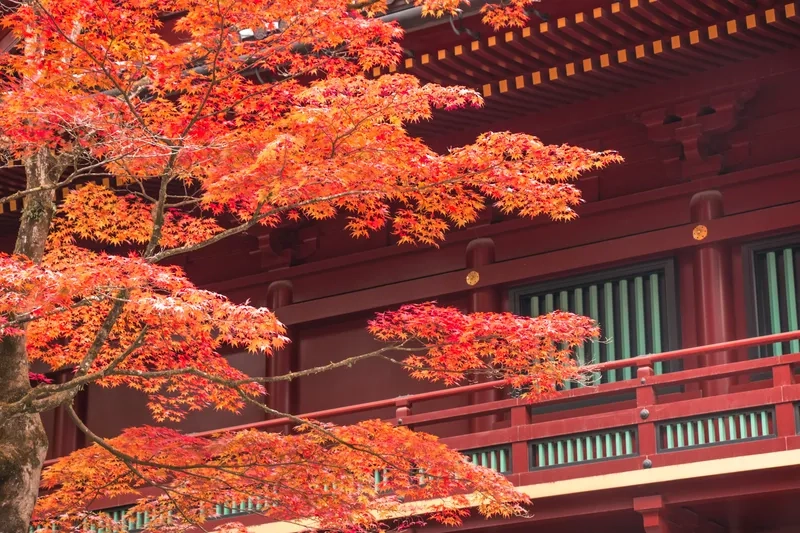 Nikko mùa thu rực rỡ với lá đỏ tuyệt đẹp