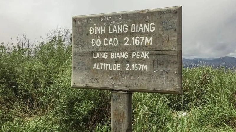 Du lịch Đà Lạt trải nghiệm không thể bỏ lỡ