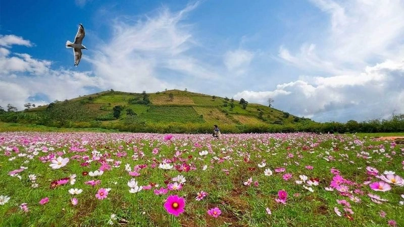 Thiên nhiên Chư Đăng Ya xanh mát và hoang sơ