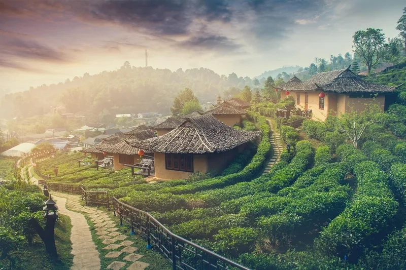 Đồi núi Pai mang đến khung cảnh nên thơ