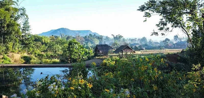 Cao nguyên Bolaven mang lại cảm giác thư thái