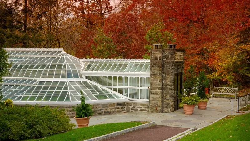 Một ngày yên bình tại Philadelphia cổ kính