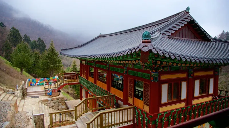 Pyeongchang thu hút du khách khắp thế giới