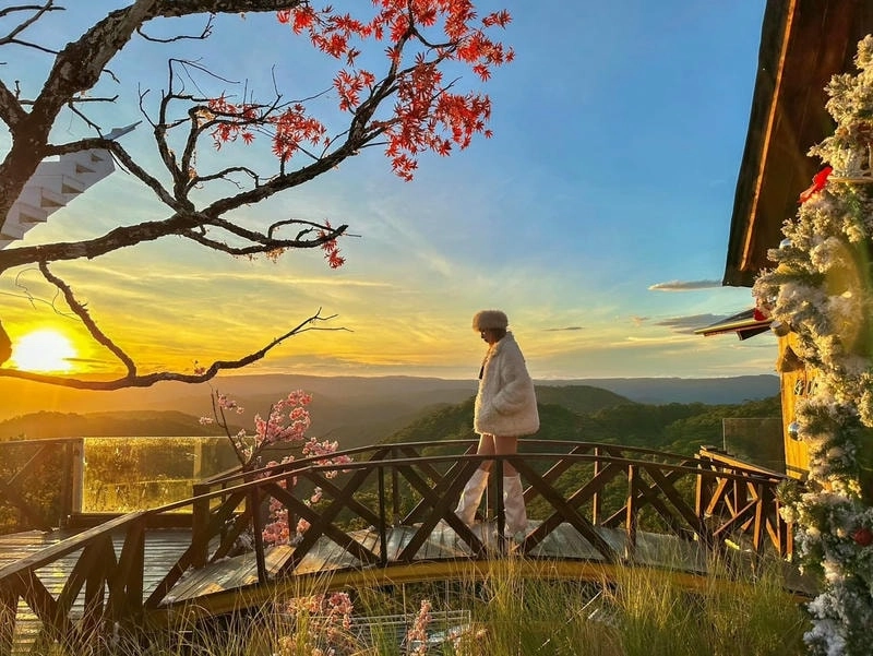 Quán cà phê Đà Lạt view thành phố sương mù