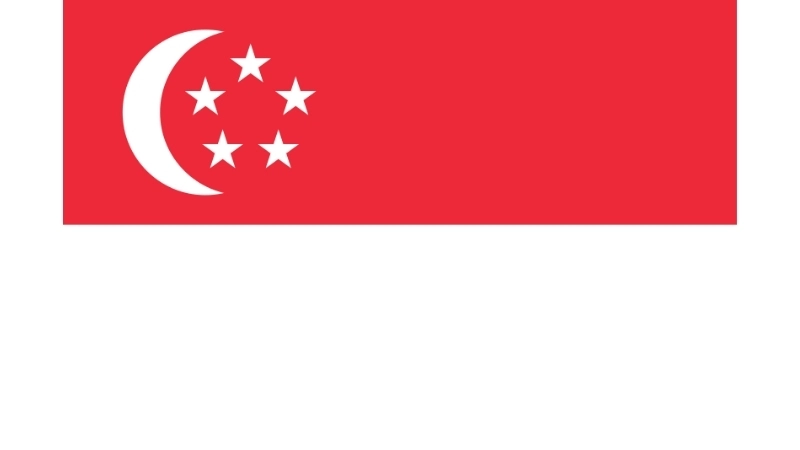 Đặc điểm hình dạng của Quốc kỳ Singapore hiện tại