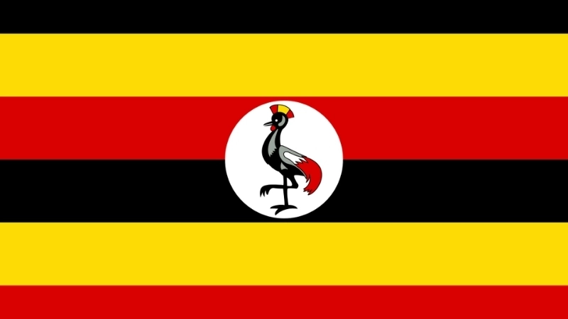 Đặc điểm hình dạng của Quốc kỳ Uganda hiện tại