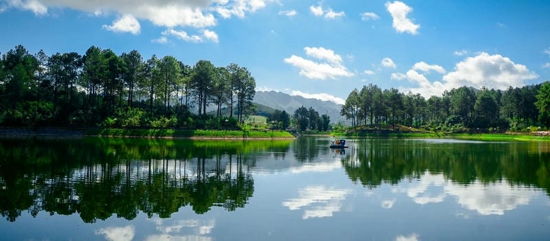 Bước chân khám phá Rừng thông bản Áng Mộc Châu