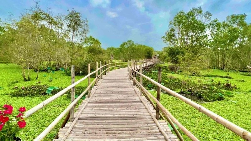 Lịch sử hình thành và giá trị sinh thái