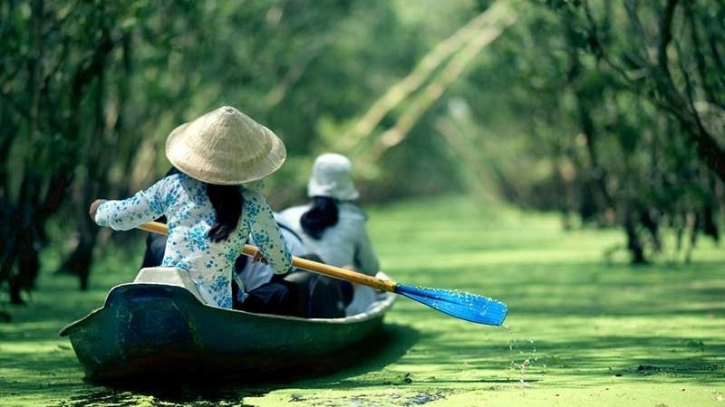 Rừng tràm Trà Sư An Giang ảnh đẹp thiên nhiên xanh