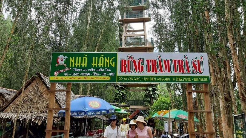 Bình yên rừng tràm Trà Sư giữa không gian thanh tịnh