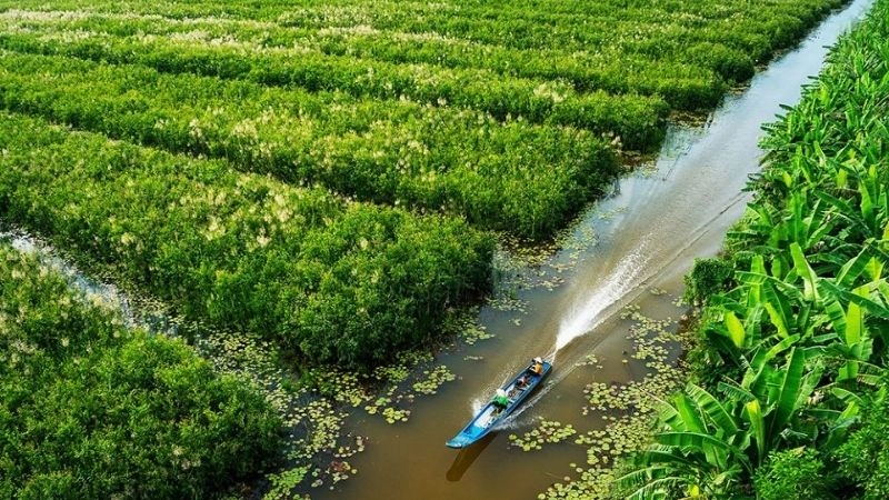 Cách di chuyển đến rừng U Minh Hạ thuận tiện