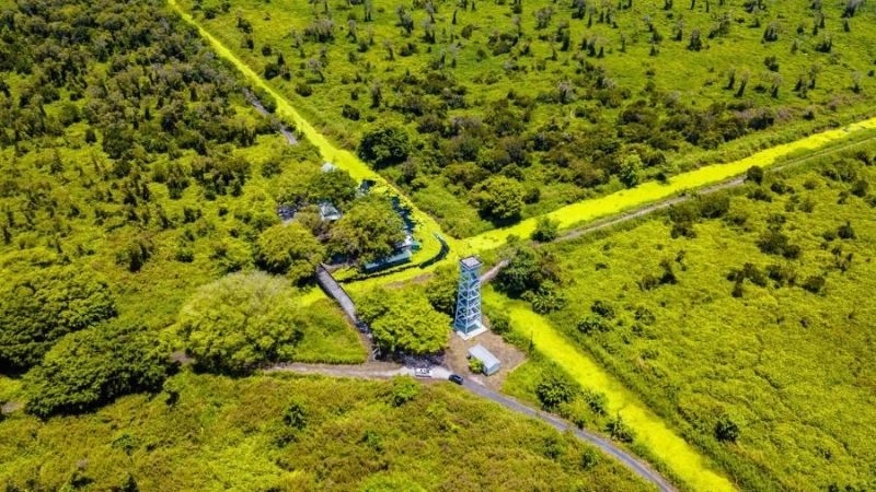 Rừng U Minh Hạ Cà Mau ảnh thiên nhiên huyền bí