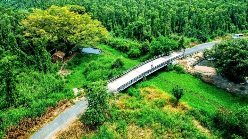 Du lịch Cà Mau khám phá rừng ngập mặn kỳ thú