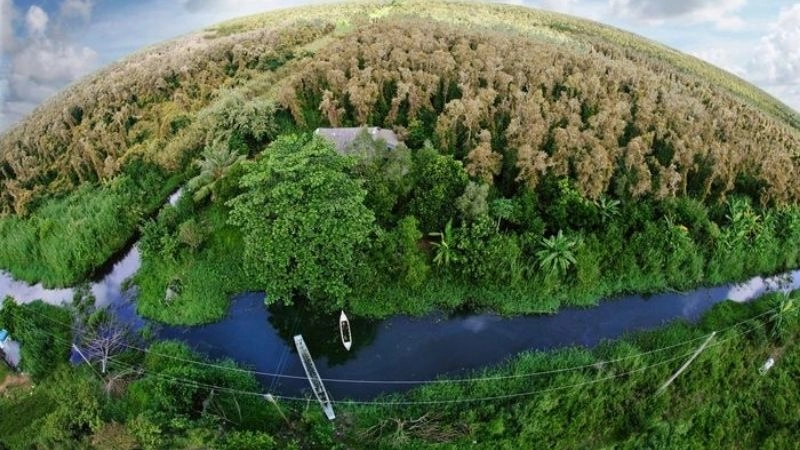 Khám phá Rừng U Minh Hạ hành trình đầy cảm hứng