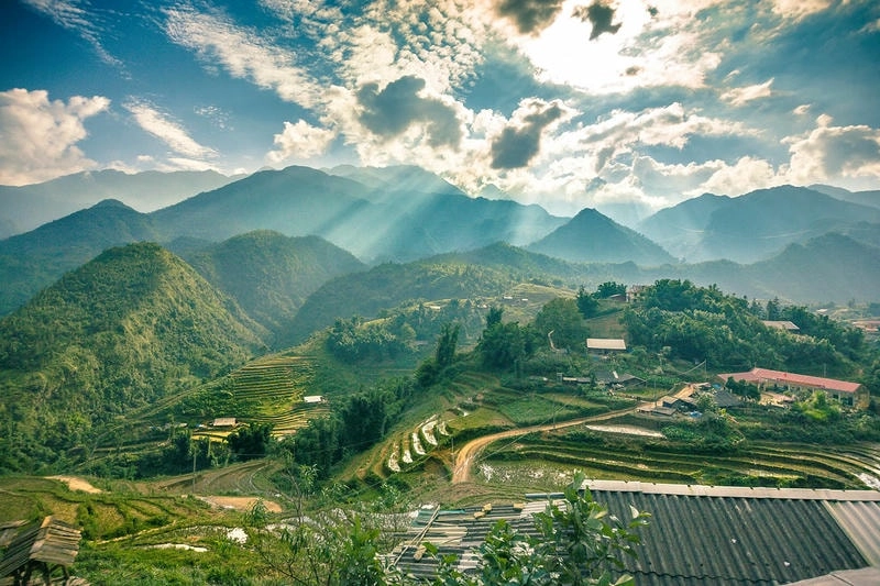 Ruộng bậc thang Sapa rực rỡ mùa lúa chín vàng