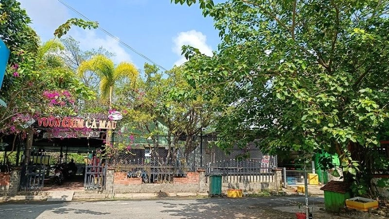 Cách di chuyển đến sân chim Cà Mau thuận tiện