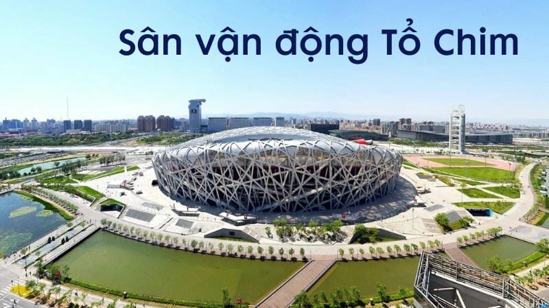 Sân vận động Tổ Chim và câu chuyện xây dựng