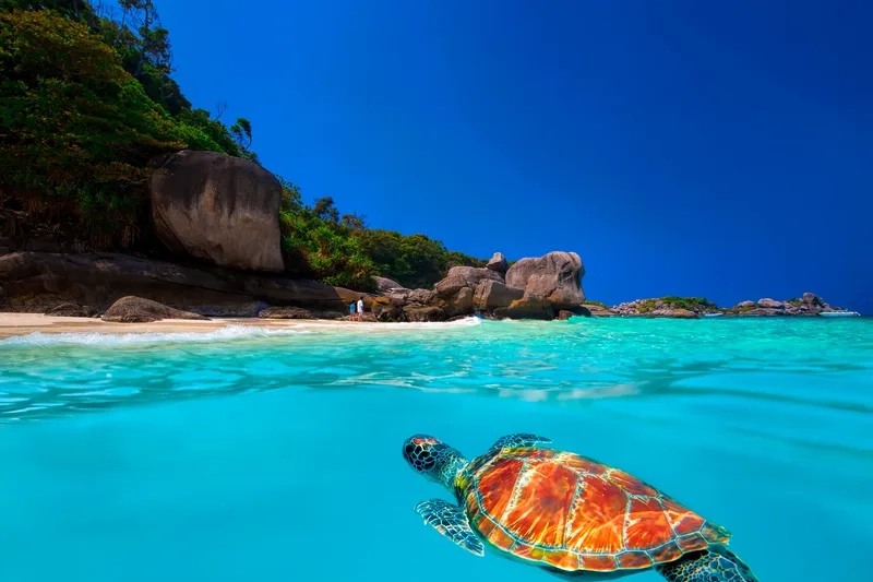 Lạc bước vào thế giới biển ở Similan Islands