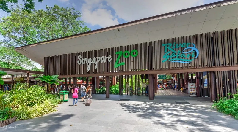 Kinh nghiệm tham quan Singapore Zoo