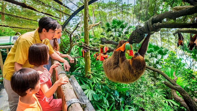 Trải nghiệm gần gũi thiên nhiên tại Singapore Zoo