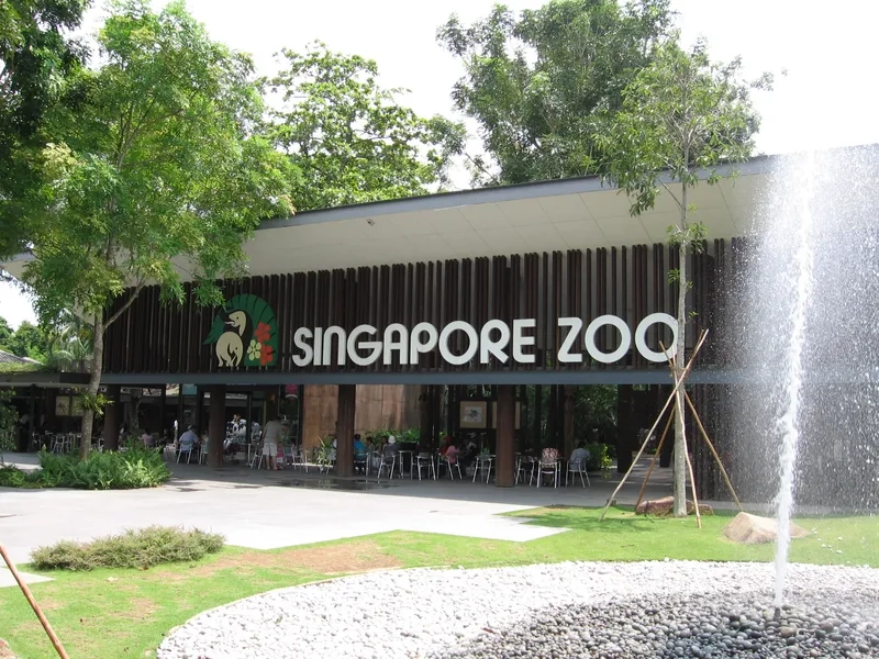Singapore Zoo nổi tiếng với hệ sinh thái đa dạng