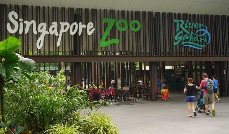 Singapore Zoo điểm đến hấp dẫn cho khách du lịch