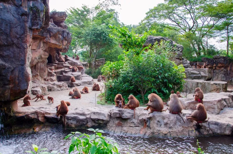 Singapore Zoo nơi hội tụ các loài động vật quý hiếm