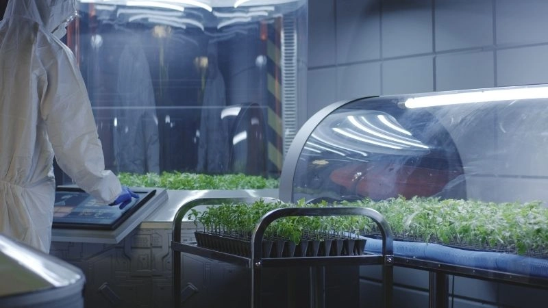 Sinh thái học vũ trụ duy trì sự sống