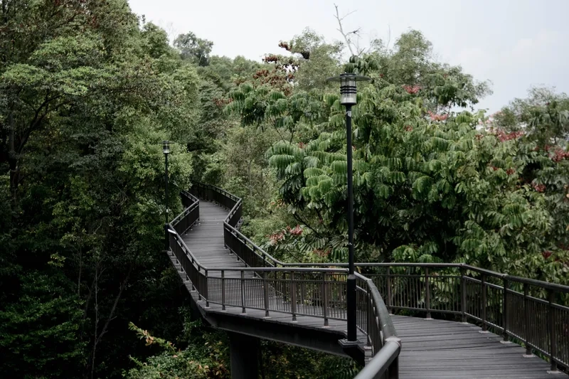 Southern Ridges là một trong những tuyến đường mòn nổi tiếng nhất Singapore