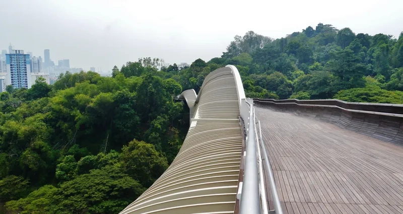 Southern Ridges mang đến không khí trong lành dễ chịu