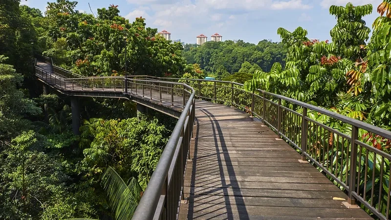 Southern Ridges là điểm check in cực hot tại Singapore