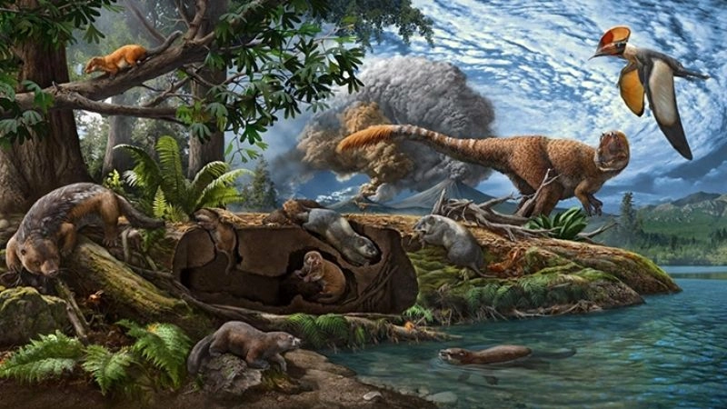 Động vật có vú xuất hiện