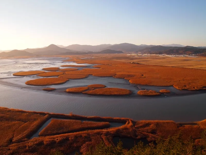 Suncheon khoác lên mình sắc màu rực rỡ