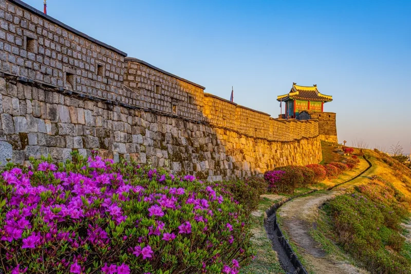 Suwon hấp dẫn với ẩm thực đường phố phong phú