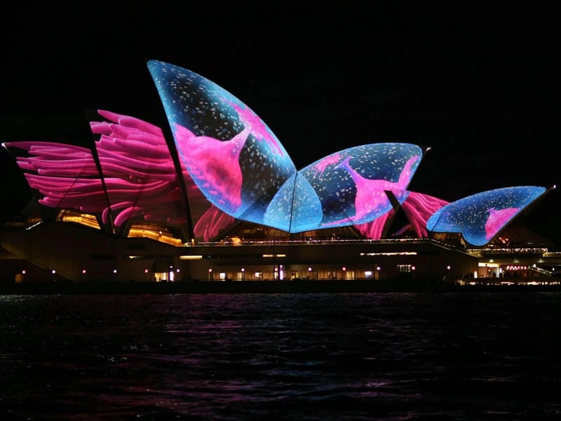 Ngắm bộ sưu tập Sydney Opera House đầy ấn tượng
