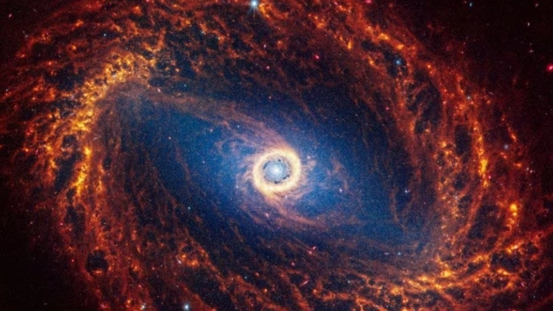 Quầng halo (Galactic Halo)