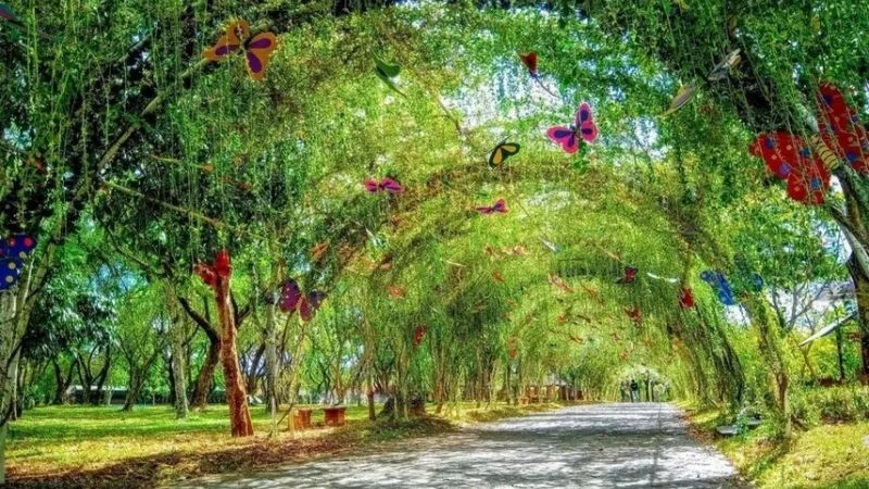 Thiên nhiên Thác Giang Điền xanh mát yên bình