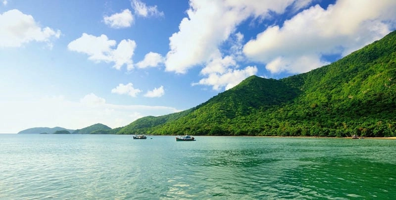 Thiên nhiên Côn Đảo với rừng nguyên sinh xanh mát